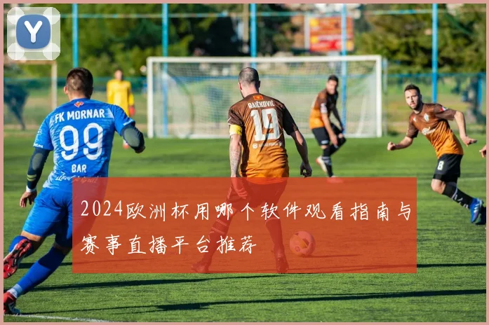 2024欧洲杯用哪个软件观看指南与赛事直播平台推荐