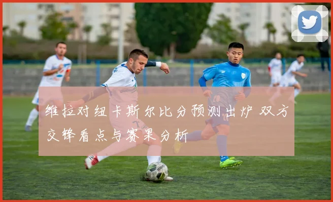 维拉对纽卡斯尔比分预测出炉 双方交锋看点与赛果分析