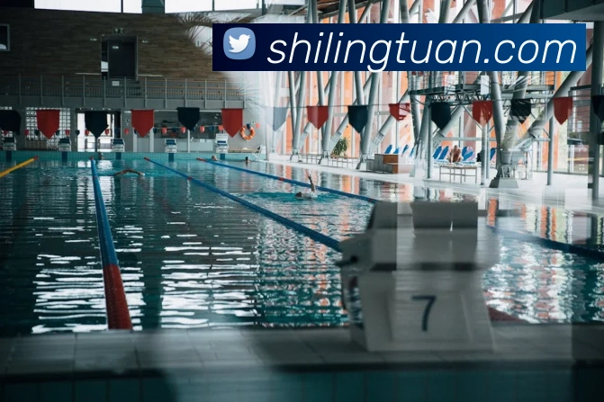 App Interface Preview